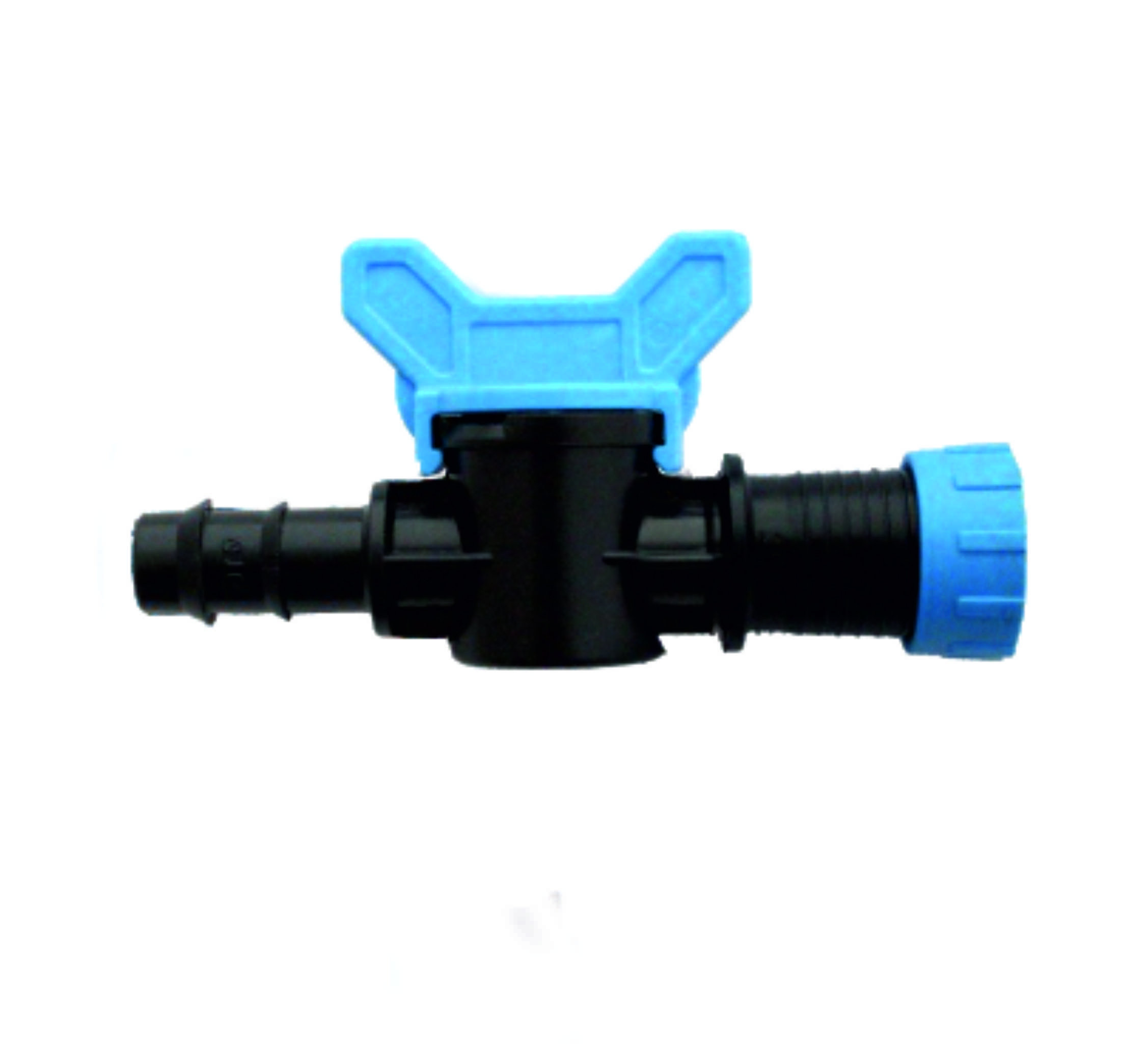 Sertsan Yüzüklü Mini Vana Kurtağzı