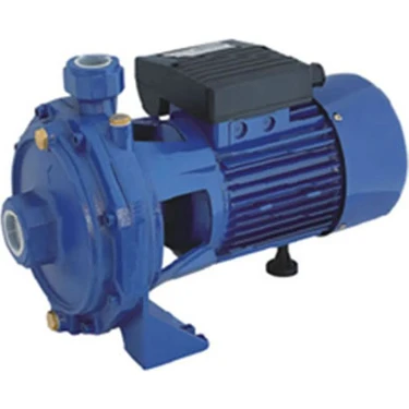 Nortek Çift Kademeli Bronz Fanlı Pompa